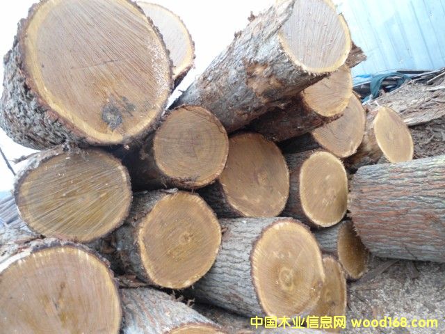 刨切級(jí)白橡原木 刨切級(jí)白橡原木