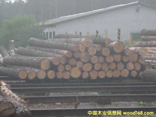 ����(y��ng)�W����ľ����ֈ�ֱ��