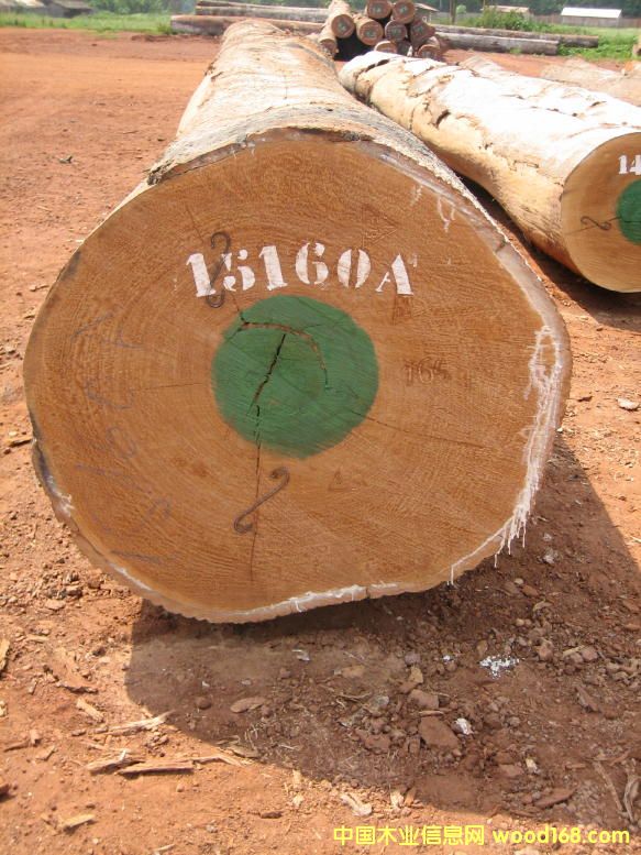 Aniegre安格利原木 Aniegre安格利原木