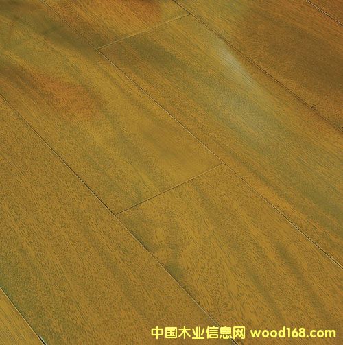 ����ľ��TER��TB��