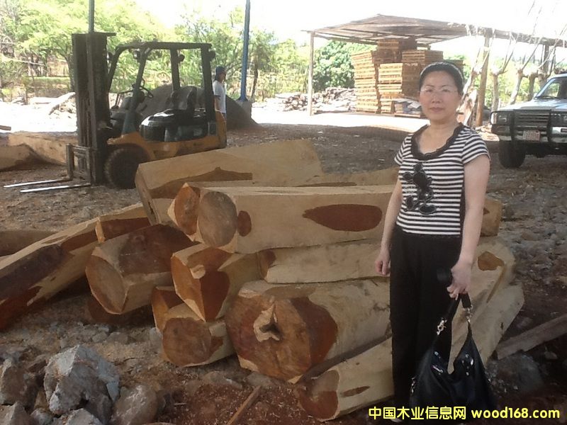 微凹黃檀 微凹黃檀