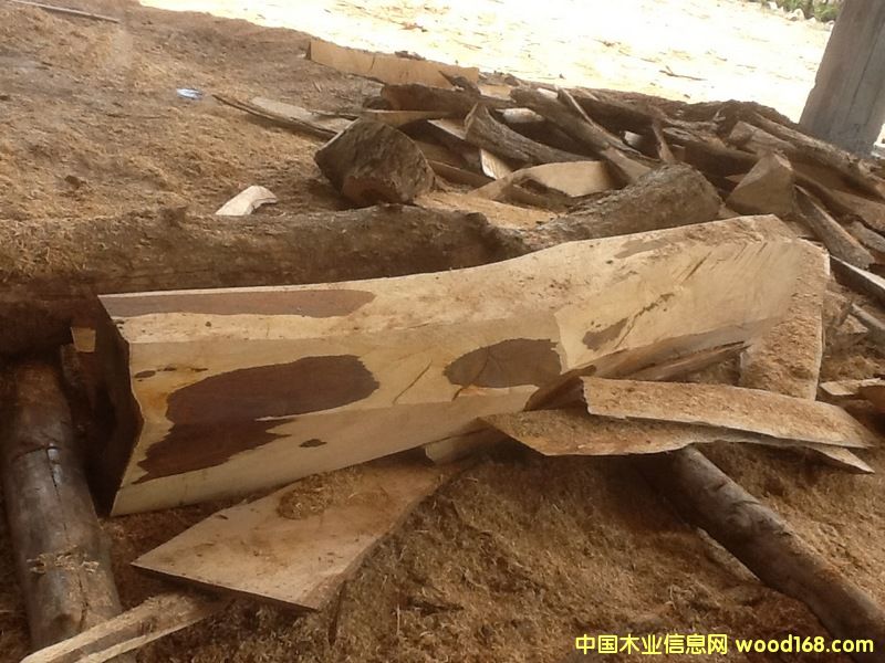 微凹黃檀 微凹黃檀