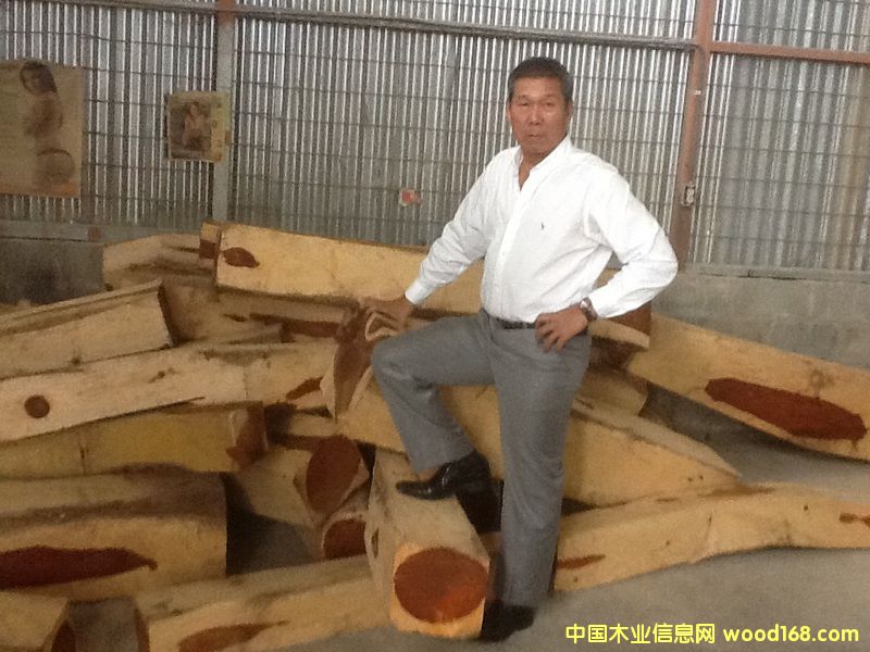 微凹黃檀 微凹黃檀