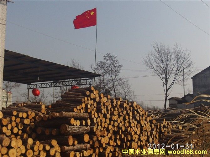 單板原材料 單板原材料