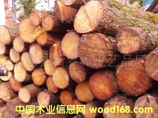 ��(y��u)�|(zh��)���~��ԭľ