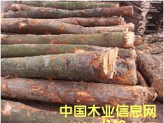 ��(y��u)�|��ľԭľ