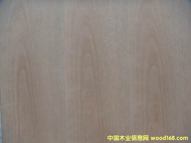 沈陽木皮 沈陽木皮