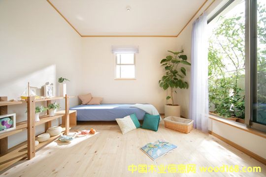 日本檜木/扁柏 日本檜木/扁柏