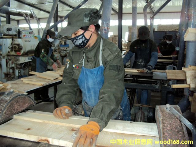 ��(sh��)ľ��(f��)�ϵذ����ذ�о�l