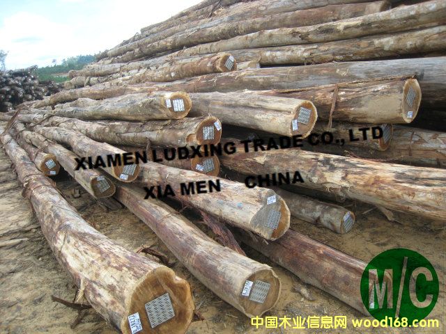 �R����˼ľ����Ϛgԭľ