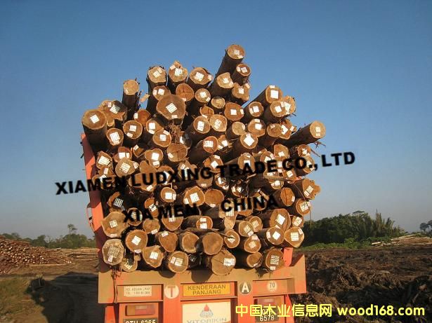 �R����˼ľ����Ϛgԭľ