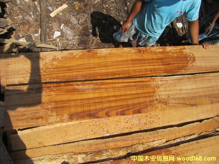 �ڽ���ľ��Ԕ��(x��)��B