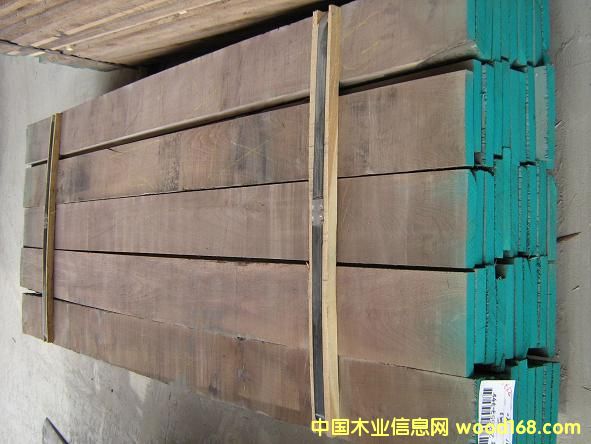 �����ں���8