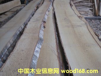 �|�W��ľ��ĵ�Ԕ��(x��)��B