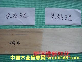 ��ľľƤƯ�ׄ���Ԕ��(x��)��B