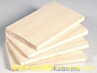 ���B(t��i)����Ƥܛ������Ԕ��(x��)��B