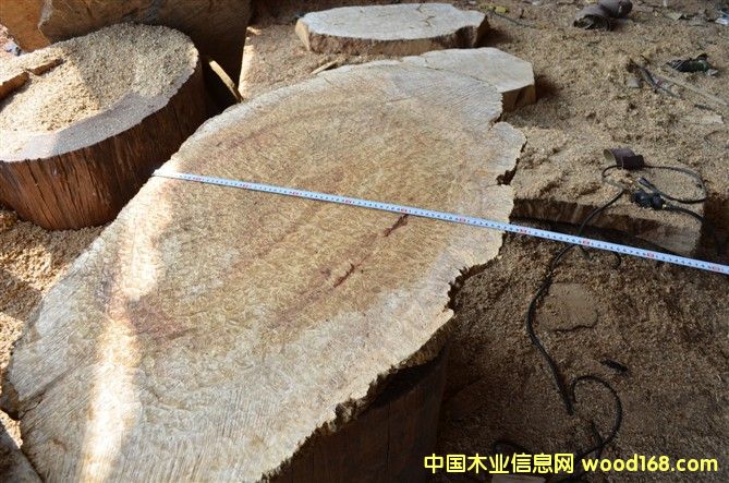 ��z骼Ҿ����2��Ԕ��(x��)��B