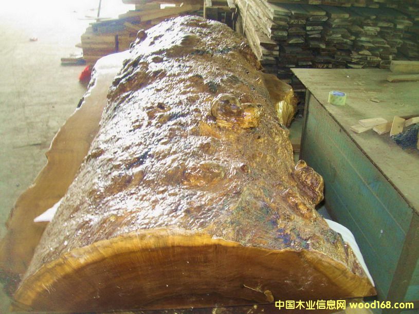 ��Ƥ�y��z骘�����Ԕ��(x��)��B