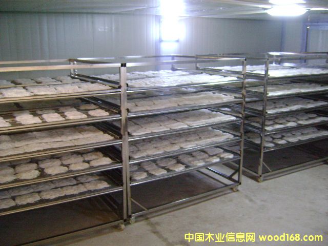 ������əC��Ԕ��(x��)��B