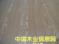 ���B(t��i)��