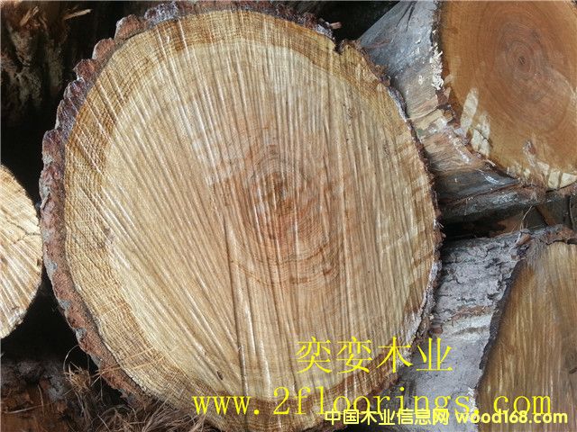 �����W��