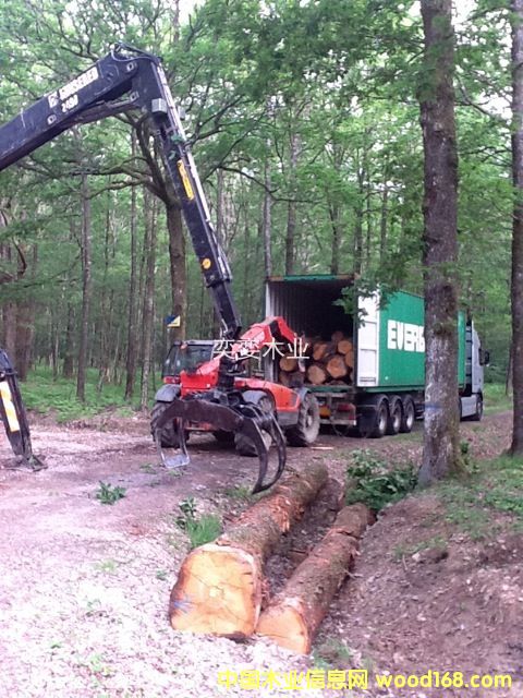 �W�� ������ľ��Ԕ��(x��)��B