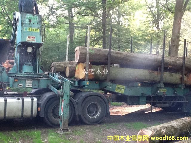 �W�� ������ľ��Ԕ��(x��)��B