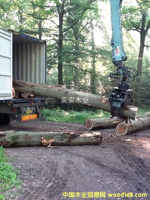 �W�� ������ľ��Ԕ��(x��)��B