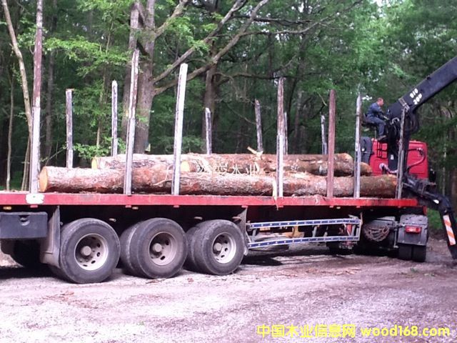 �W�� ������ľ��Ԕ��(x��)��B