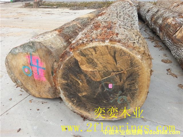 ������ľ