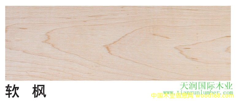 ܛ����Ԕ��(x��)��B