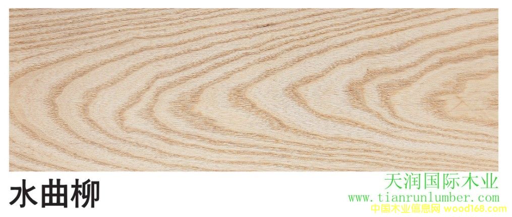 ˮ����&����ˮ������Ԕ��(x��)��B