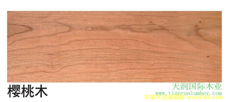 ����ľ&��������ľ��Ԕ��(x��)��B