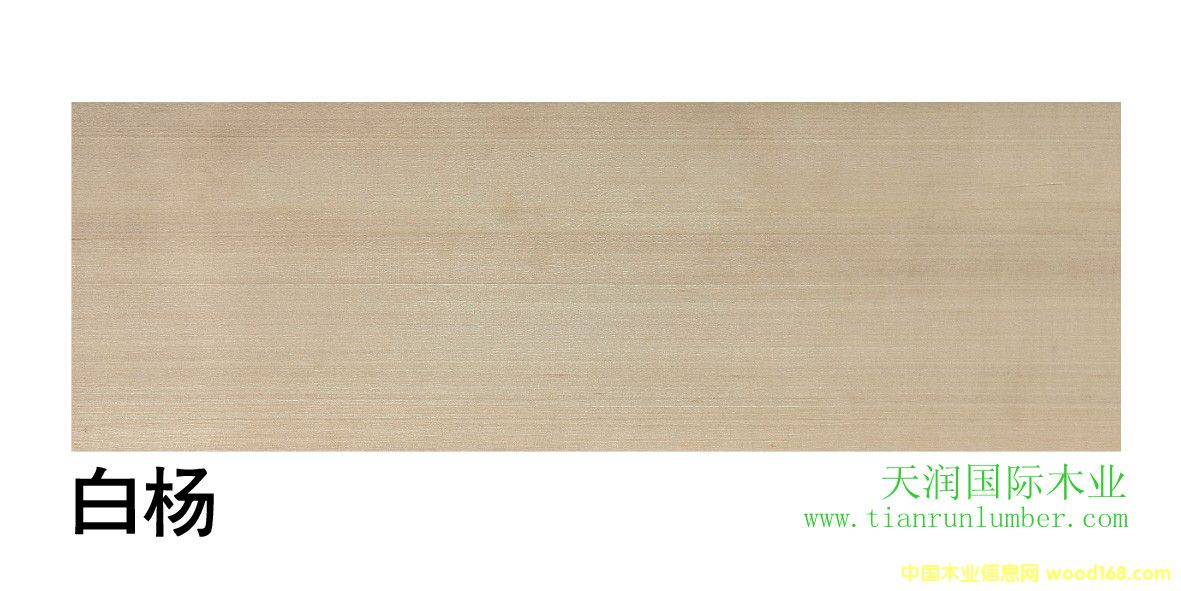 �ח�&�����ח��Ԕ��(x��)��B