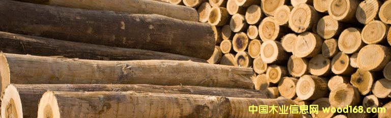 �c(di��n)���鿴�ֈ�(ch��ng)ֱ�N����ԭľ�Ŵ�DƬ