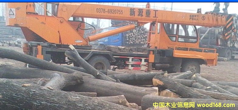 ��ľ��Ԕ����B