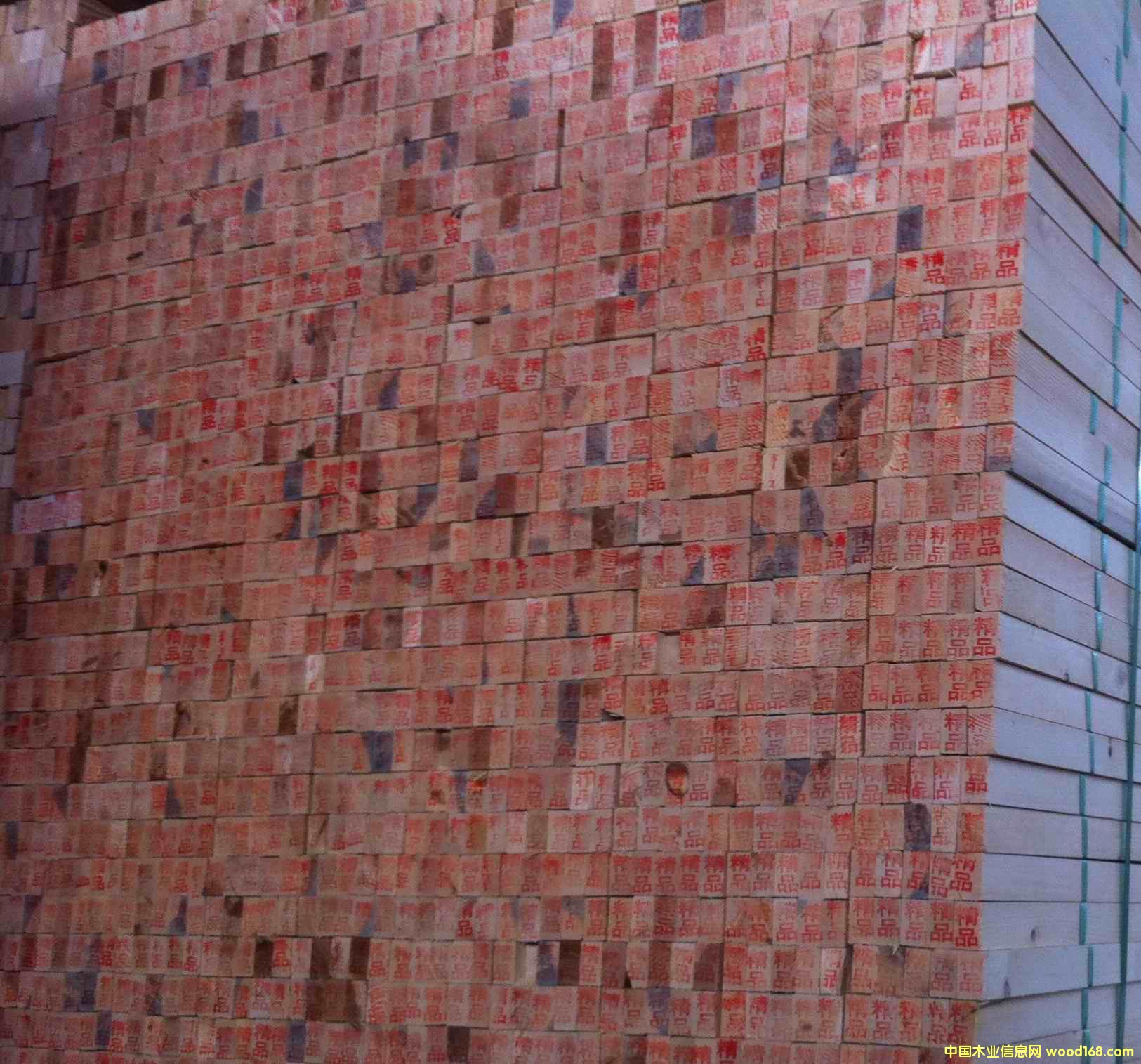 �������Ǘl��Ԕ��(x��)��B