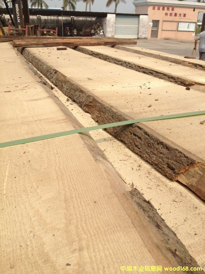 �W�ް�Ϟľ���