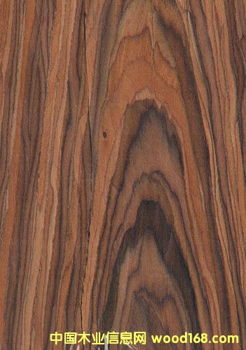 ɽ�y��֦ľƤ ��֦��r ��ľľƤ ��֦���l(f��)