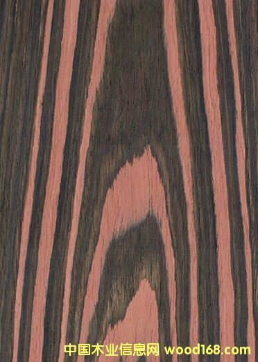 �Ƽ�ľƤɽ�yӡ���̴