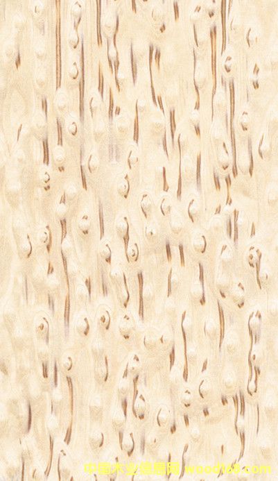 ���l(f��)�Fľ��ߙn����(sh��)��ľƤ �¿�ľƤ�Ӱ� ����ľƤ�S��