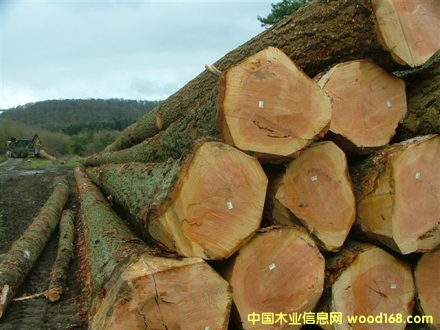 [��] �W�޴󏽼�(j��)������ԭľ