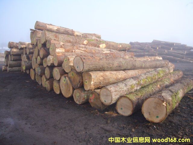 �·��W��ABC��(j��)����ԭľ��Ԕ��(x��)��B