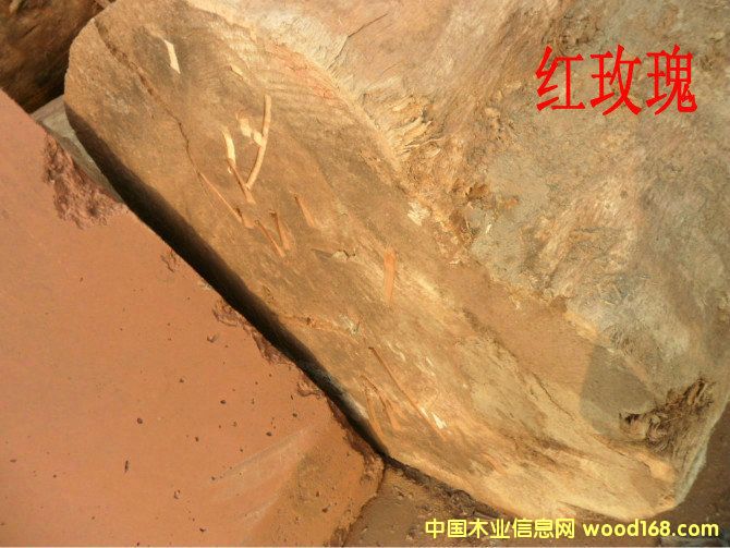 �tõ���Ԕ��(x��)��B