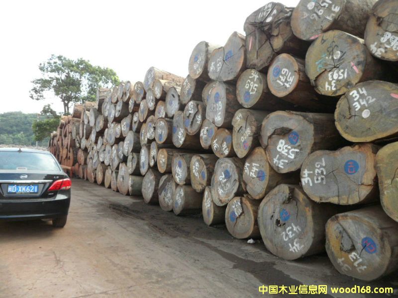 �t�Fľ��Ԕ��(x��)��B