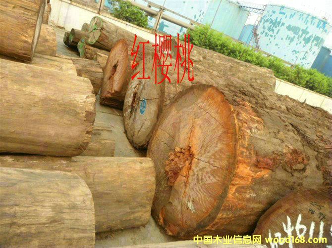 �t���ҵ�Ԕ��(x��)��B