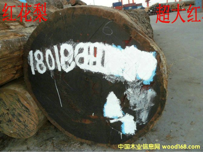 ��t�����Ԕ��(x��)��B