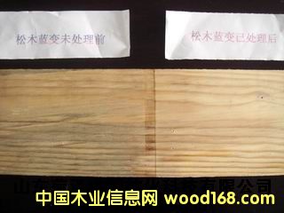 ��ľ�Ҿ��{׃��������Ԕ����B