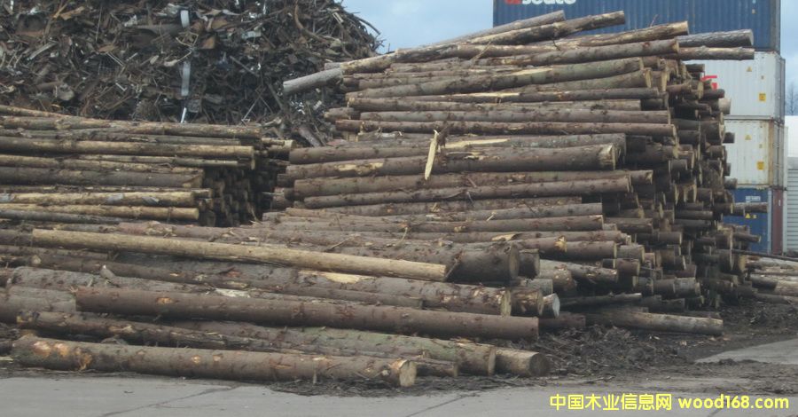 �׶��_˹��ɼ��Ԕ��(x��)��B