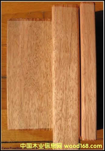 ����ľ�����X(qi��n)һ�����|(zh��)����ô�ӣ��Ϻ����h(yu��n)ľ�I(y��)��Ԕ��(x��)��B